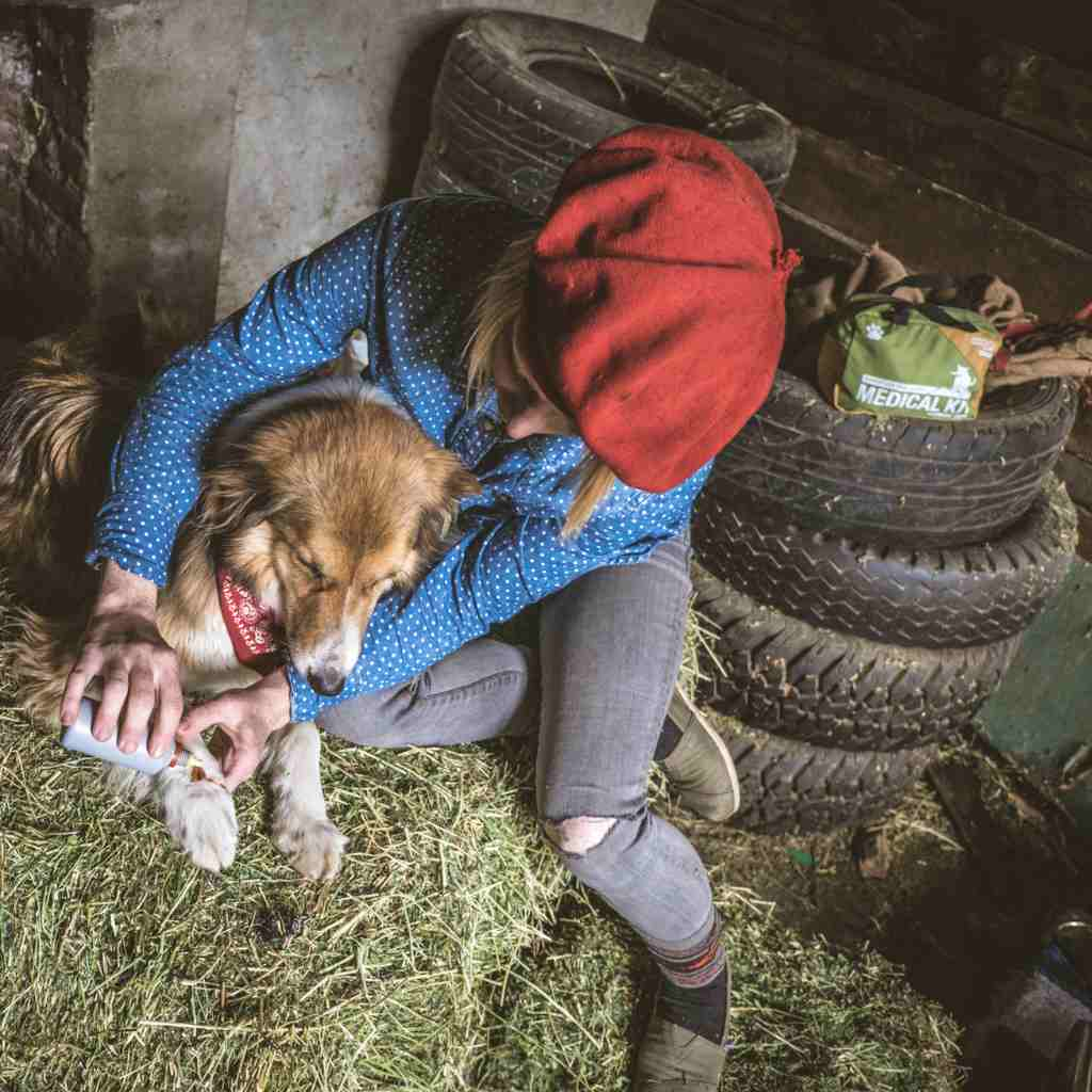 Adventure Dog Medical Kit - Workin' Dog woman giving care to dog's paw while seated on hay next to tires with kit in background