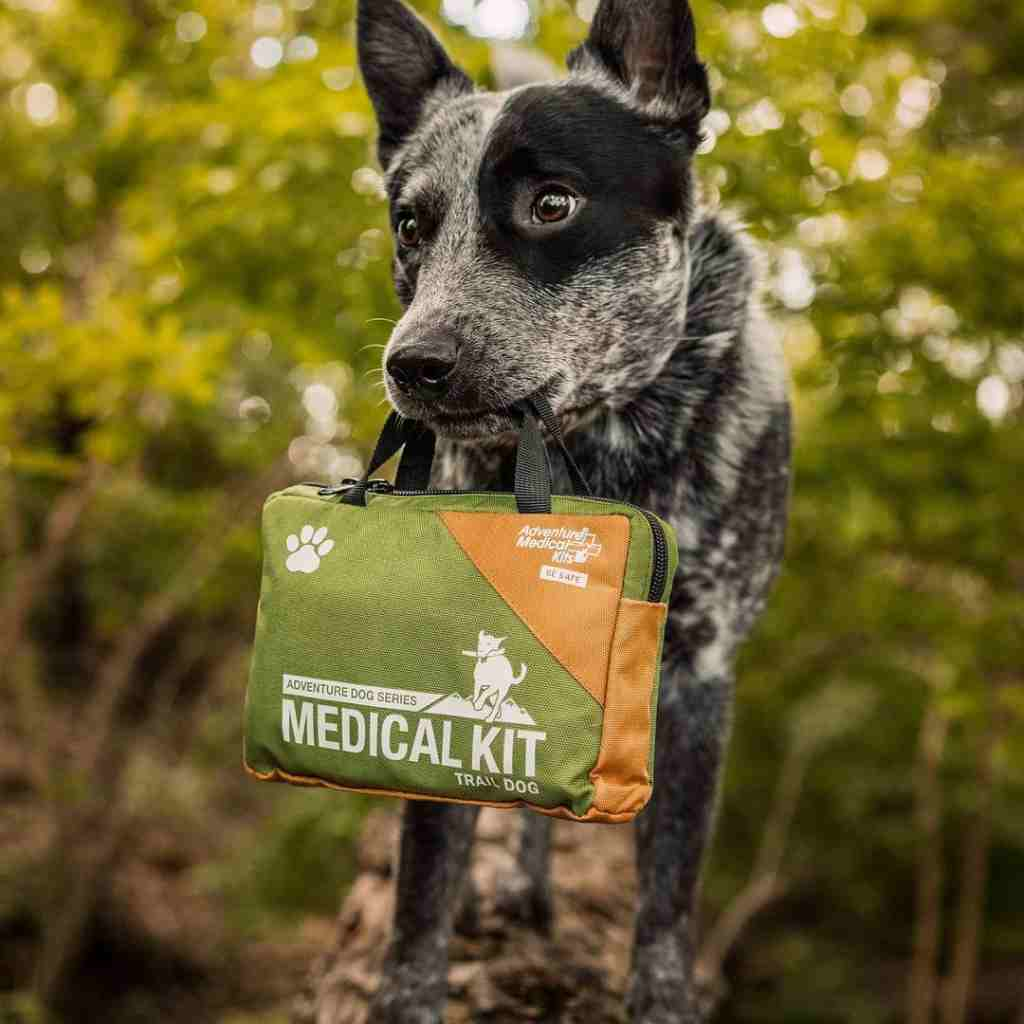 Adventure Dog Medical Kit - Trail Dog black and white dog holding kit in mouth